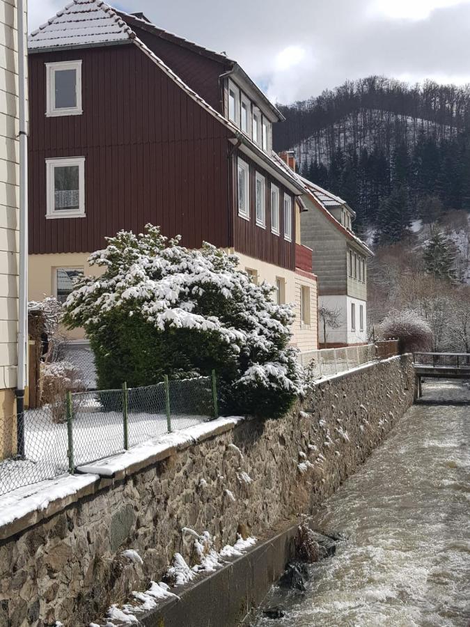 Ferienhaus Am Fluss Mit Traumhafter Dachterrasse ,Garten Und Grill Walkenried Exterior photo