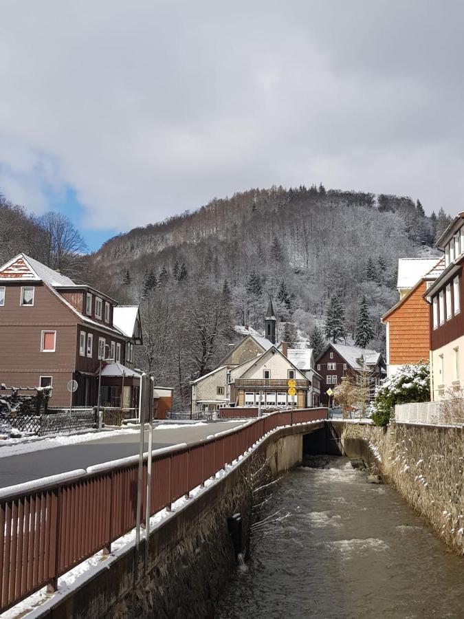 Ferienhaus Am Fluss Mit Traumhafter Dachterrasse ,Garten Und Grill Walkenried Exterior photo